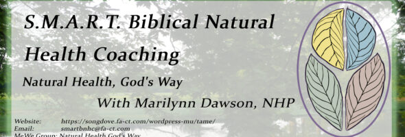 Biblical Natural Health Coaching: What it is, is not, and why would I want it?