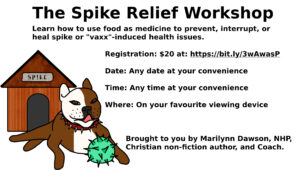 The Spike Relief Workshop On Demand