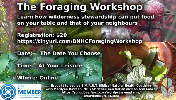 foraging work shop with Marilynn Dawson, NHP