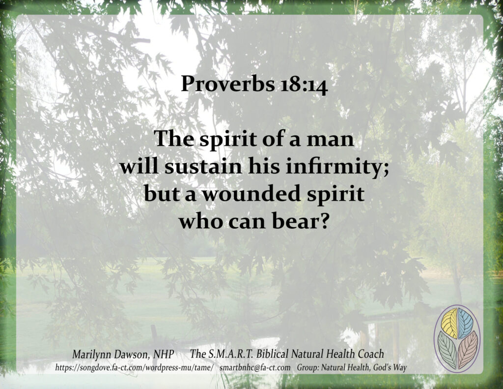 Proverbs 18:14