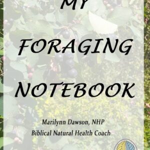 My Foraging Notebook